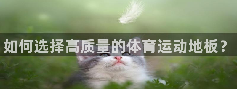 绿茵体育免费观看