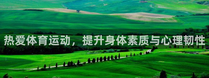 绿茵体育