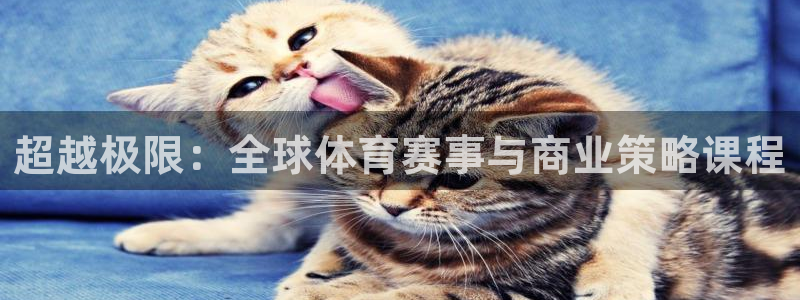 绿茵体育：超越极限：全球体育赛事与商业策略课程
