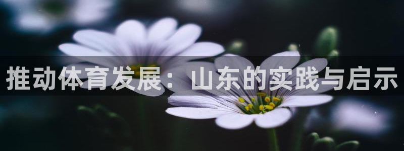 绿茵足球直播免费观看：推动体育发展：山东的实践与启示