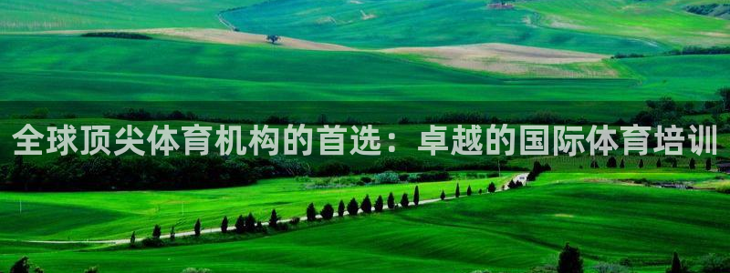 绿茵体育直播9939：全球顶尖体育机构的首选：卓越的国际体育培训