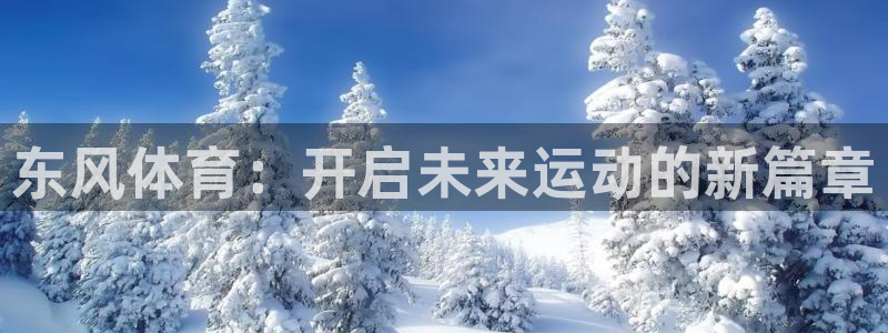 绿茵足球直播在线观看：东风体育：开启未来运动的新篇章