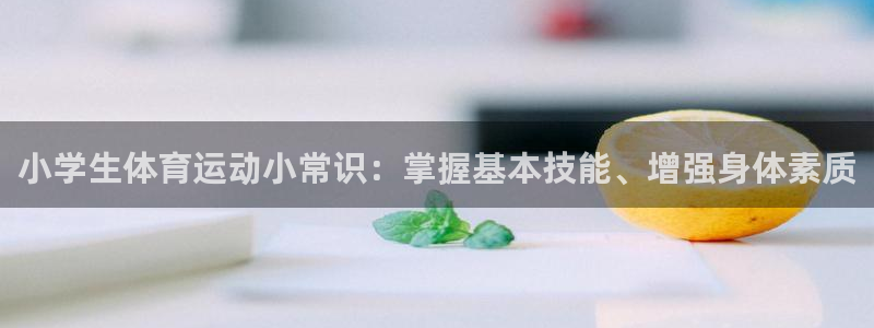 绿茵体育公司