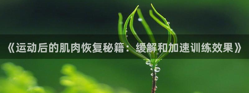 绿茵杯足球赛