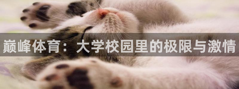 绿茵足球