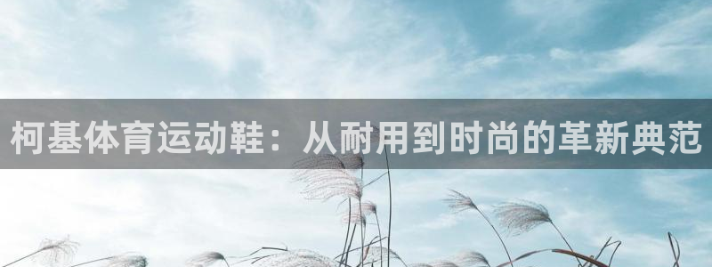 绿茵体育官网入口：柯基体育运动鞋：从耐用到时尚的革新典范