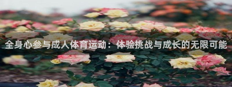 天津绿茵体育公司：全身心参与成人体育运动：体验挑战与成长的无限可能